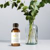 Krivi Eucalyptus Essential Oil 100ml (Pack of 1)
