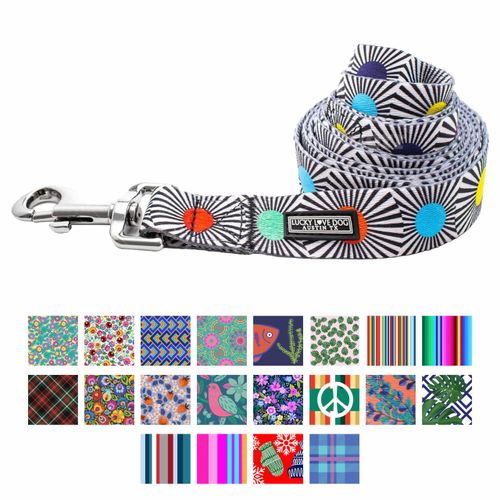 Lucky Love Dog, Fun Style Leash for Dogs, Comfy & Soft Bright Color Dog Leash, Durable & Long Lasting - (Small, SOCO Leash)