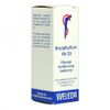 BRYOPHYLLUM RH D 3 Dilution 20 ml