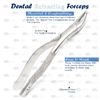 DDP Dental EXTRACTING Forceps #69 Canine 7" Root Extractor