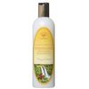 Island Soap & Candle Works Shampoo, 12 Ounce