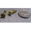 Brass #8  Phillips Flat Head Wood Screw x .750" Length, 100 Pcs