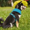 Adjustable Dog Pet Harness Breathable Air Mesh Comfortable Reflective Vest Blue