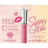 Prolance Sunny Glam Lip Gloss 104
