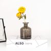 1PCS 150ml/5oz Glass Diffuser Bottle Jars Pot Exquisite Essential Oils Container for DIY Essential Oil Diffuser Gift (Grey, 150ml/5oz)