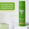 Plantur 39 Phyto-Caffeine Shampoo - Prevent Hair Loss Specially for Coloured and Damaged Hair