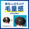 Success Shampoo Volume Up Type Body 13.8 fl oz (350 ml)