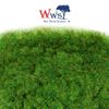 WWScenics | 2mm Summer Static Grass | 1000ml Can | WSG2-018 | Realistic Model Scenery Material