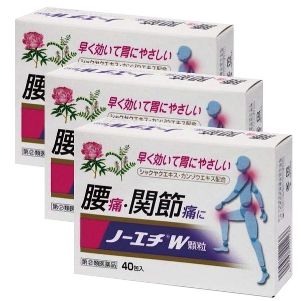 【指定第2類医薬品】ノーエチW顆粒 40包 ×3