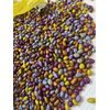 Sunbursts Chocolate Covered Sunflower Seeds 1LB Bag