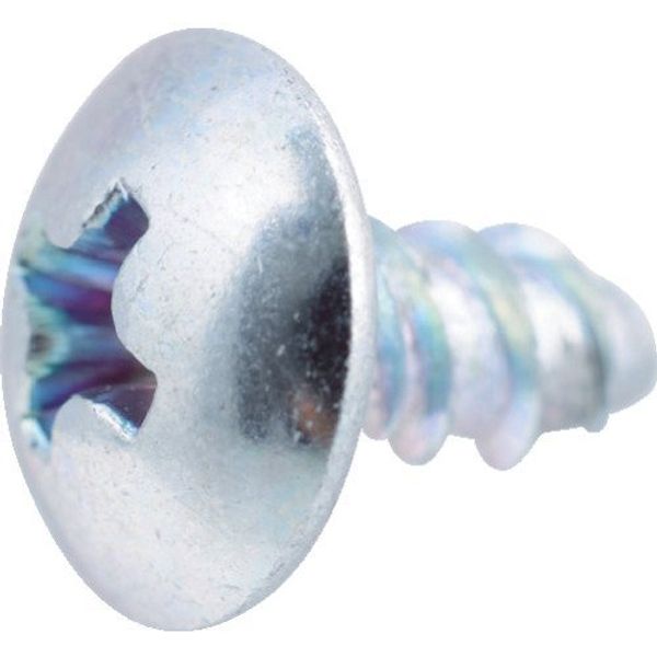 TRUSCO Y041-0410 Trusting Tapping Screws for Thin Sheets M4X10, 85 Pieces