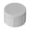 Lasco 448010BC 1 in. FIP PVC Threaded Cap
