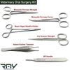 Veterinary Oral Surgery Kit Suturing Needle Holder Forceps Scissor BP Handle