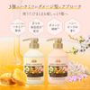 dive 3 types of honey shampoo main unit 450ml
