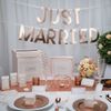 Neviti - Geo Blush - "Just Married" Bunting
