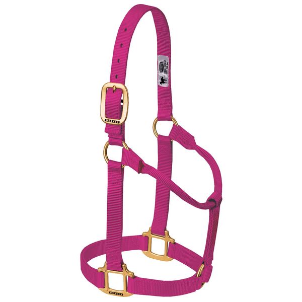 Weaver Leather Original Non-Adjustable Nylon Horse Halter, Raspberry, Yearling