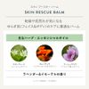 Herbal Pharmacy Skin Booster Balm _ 30mL/Balm