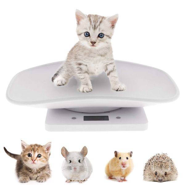 FAMKIT Non Pet Dog Weighting Scale, Small Kitchen Scale with Tape Measure,Digital Baby Scale,Kitchen LCD Display Food Scale for Hamsters/Tortoise/Kitten (22 lbs Capacity)