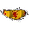 Small Single Rampant Lion Flag Metal Rip Open Sticker