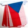 Novelties Direct Czech Republic Flag Bunting Rectangular Flags 9m long 32 flags Polyester