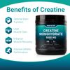 Creatine Monohydrate - Muscle Growth - 5000mg Powder 100 Servings