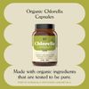 Organic Chlorella Powder Tablets - 100 Capsules 480mg