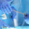 3 Pcs Shortbent Suture Stitch Scissors Curved 3.5" Medical Veterinary Set