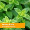 Herb Pharm Certified Organic Lemon Balm Liquid Extract for Calming Nervous