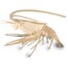 Quay Lobster Woodcraft Construction Kit FSC