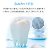 Toothbrush Variation 202501 (Replacement Brush)