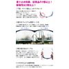 Overglass Sunglasses, Eye Care Glasses, Premium, UV420, UV Protection, Blue Light, Cut, Anti-Fog, Over Glasses, Fukui University Medical Faculty Hospital, Collaborative Research Product (White/Olive Gray)
