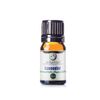Lavender Essential Oil (Kashmir) (India) (5ml)