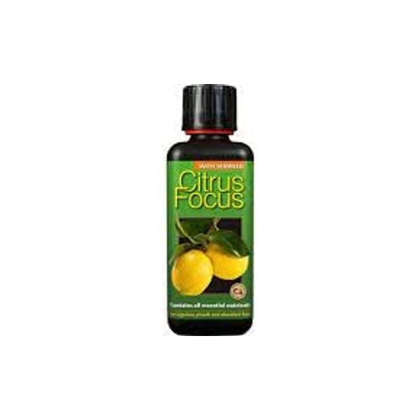 citrus focus 300ml x 3