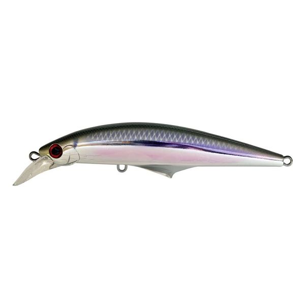Jackson (Jackson) Lure G Control G cki-1 Japanese Anchovy.