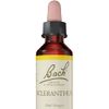 Bach Original Flower Remedies - Oak 20ml-packaging may vary