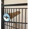 Polly's Cholla Cactus Bird Perch, Medium