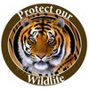 E & S Pets Car Magnet, Tiger