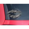 Lips Decal 9x5.5 Camouflage Gray