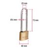 Brass padlock, 40mm extra long hook, blister