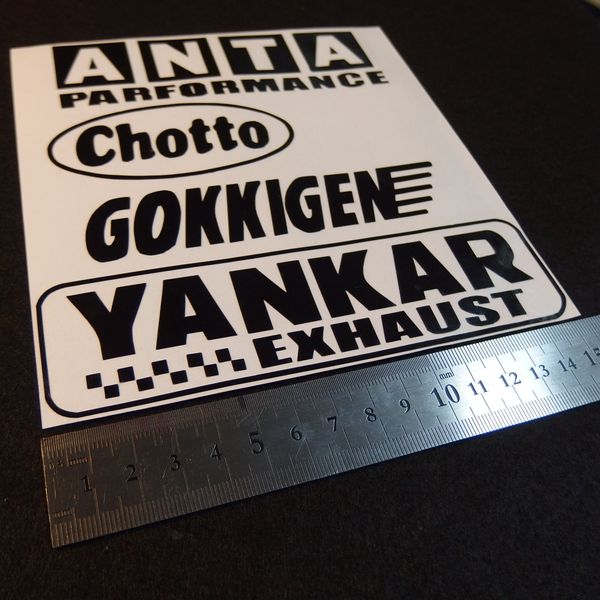 ACGY-01 Car Door Sticker