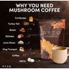 RYZE Mushroom coffee PACK 3