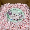 StarBoxes Anti Static Packing Peanuts, 6 Cu. Ft., White (PEANUTATI006)