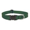 LupinePet Basics 1" Green 25-31" Adjustable Collar for Extra Large Dogs