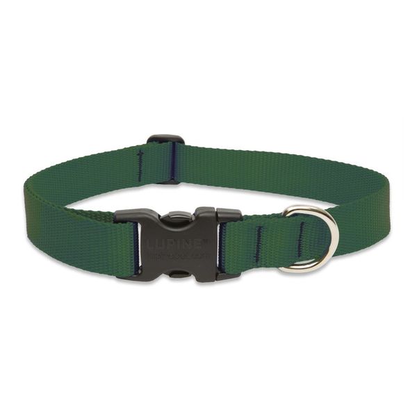 LupinePet Basics 1" Green 25-31" Adjustable Collar for Extra Large Dogs