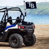 Tampa Bay Rays Boat and Golf Cart Flag