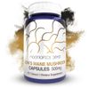 Nootropics Depot Lions Mane Mushroom Capsules | 8:1 Whole Fruiting Body Dual Extract | 500mg | 60 Count | Hericium erinaceus