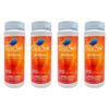 Clear Spa 104° pH Minus 3lbs Oreq | CSSB003 (4 Pack)