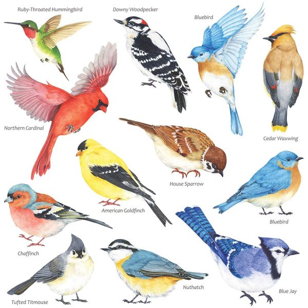 DECOWALL DS-8042 Little Birds Wall Art Stickers Colourful Flying Birds Wall Decals Removable Garden Decorations Poster Bedroom Kitchen Living Room (Small)