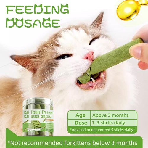 Cat Natural Grass Teething Sticks 100g, Kitten Chew Sticks for Hairball Removal, Dental Care, Increase Appetite, Catnip Toys Cat Nip Treat Toys Edible Kitty Toys for Indoor Cats Kittens