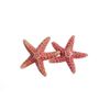 Real Starfish Hair Barrette Clip Double